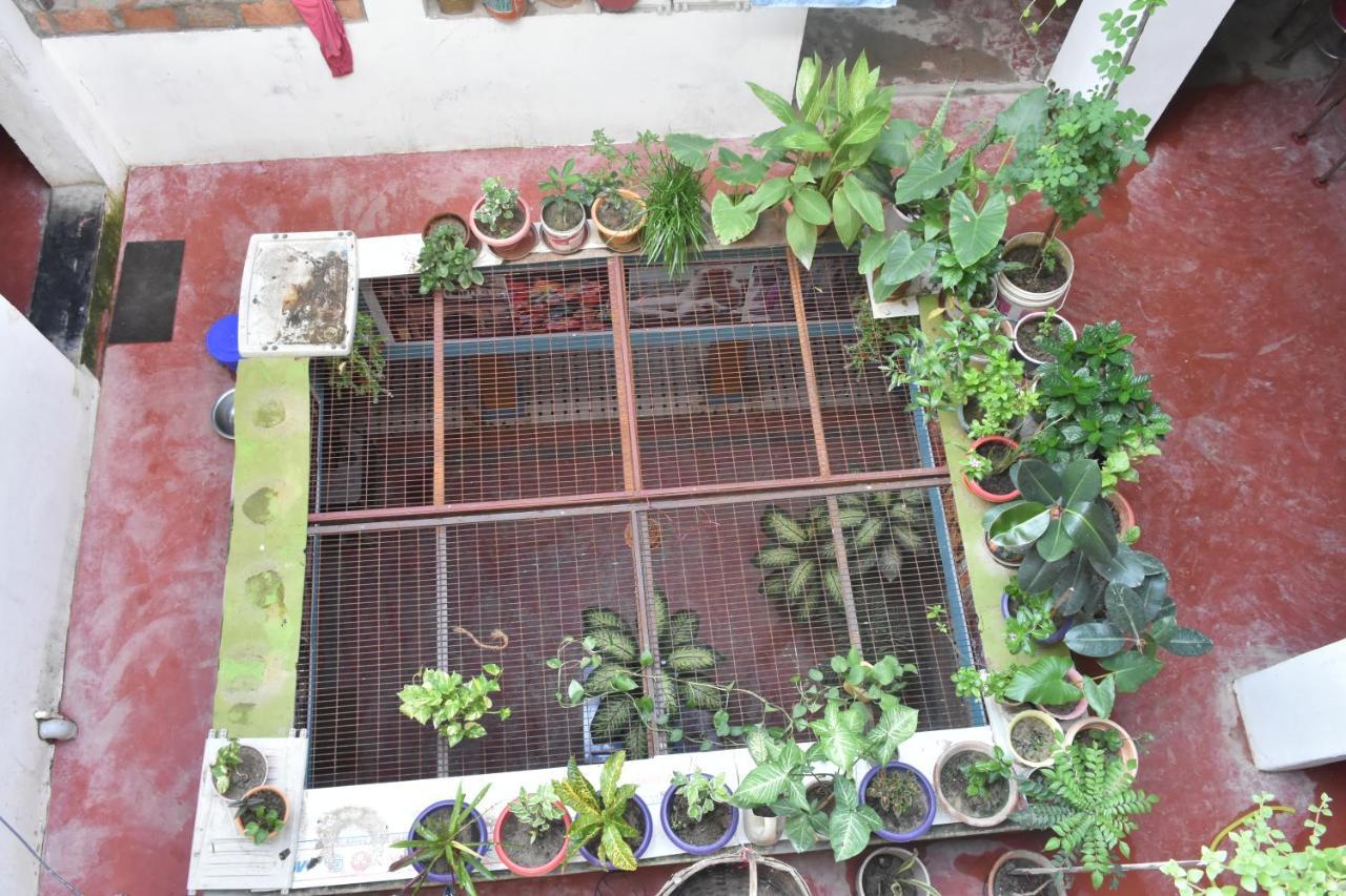 Suraj Bed & Breakfast